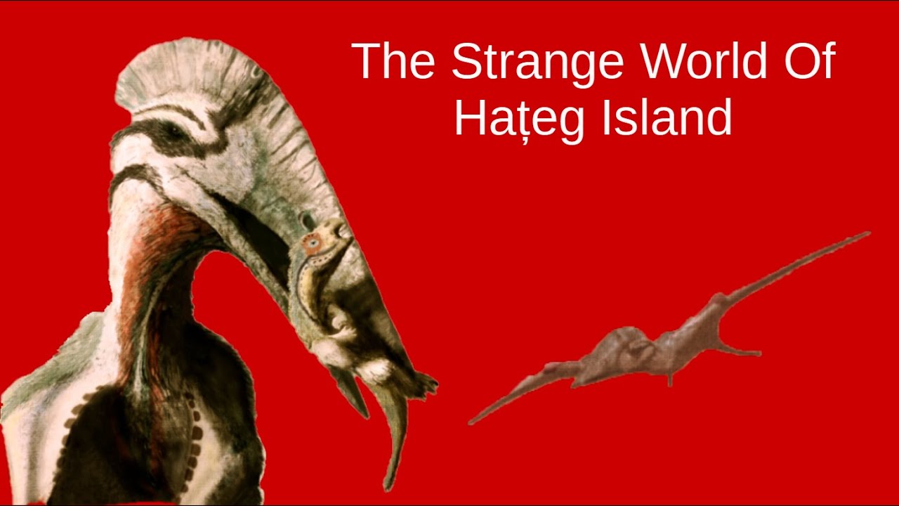 Dwarf Dinosaurs: The Weird World Of Hațeg Island - YouTube