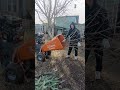 Измельчитель Джона Сины #zimani #wood #измельчительветок #chainsaw