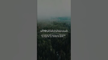 ويعلمكم مالم تكونوا تعلمون | سورة البقرة | إسلام صبحي