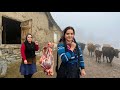 Daily Rural Life And Cooking In The Misty Mountains Of IRAN