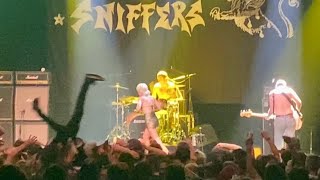 AMYL AND THE SNIFFERS Some Mutts (Can't Be Muzzled) The Observatory 10.9.22