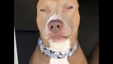 Karman Station Easy 27.658 | Splitgate Race