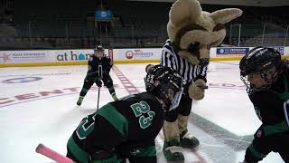 Hockey 101 - Faceoffs