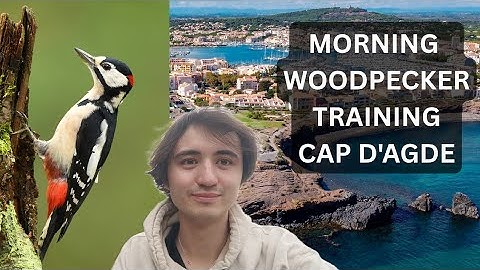 GURGENIDZE CELEBRATION STREAM / We