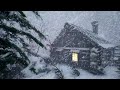 -71 Surviving a BRUTAL RUSSIAN WINTER in 2025 - BRUTAL EXTREME Cold!