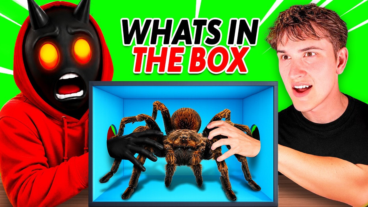 GUESS WHATS IN THE BOX