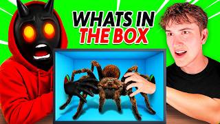 GUESS WHATS IN THE BOX