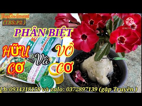 Video: Nước là vô cơ hay hữu cơ?