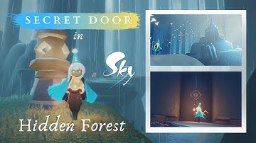 SECRET DOOR in Hidden Forest | Sky: Children of the Light 🌟