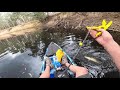 Murray cod,  kayak fishing in the Ovens River