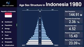 This is a stats visual archive of population pyramid & demographic
indicators in indonesia from 1950 to 2100. : total population, popu...