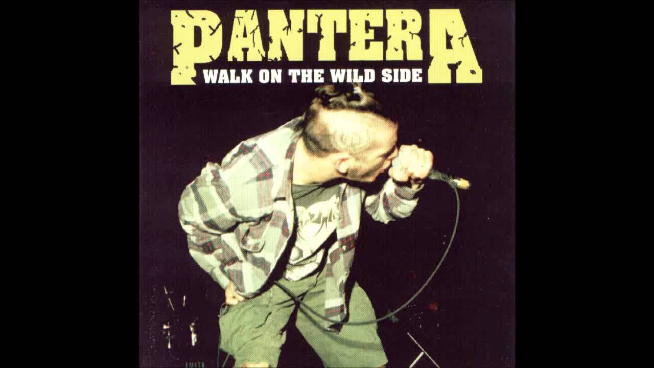 pantera tour 1993