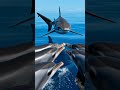 Dolphins That Protect Humans. #animals #stories #oceanlife #dolphin #shorts #survival #didyouknow