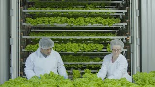 Feeding a Changing World with CubicFarms' Automated Vertical-Farming Technology