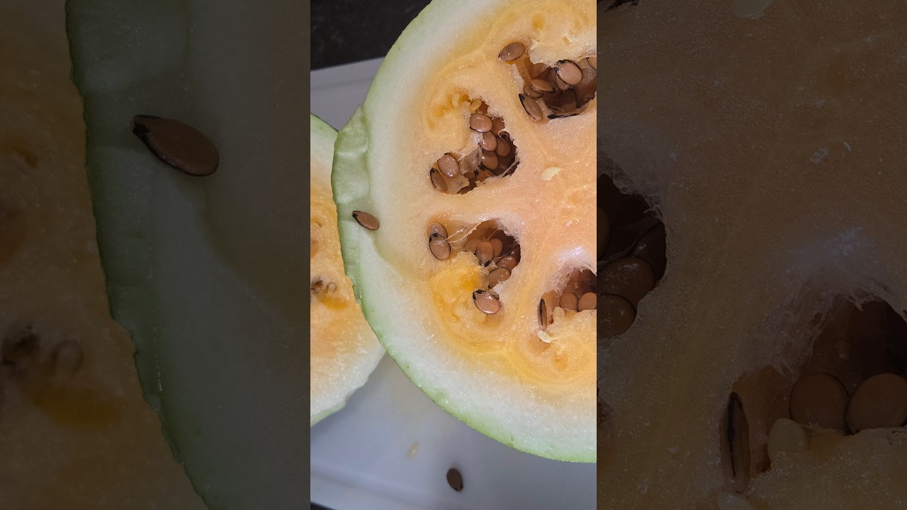 Reveal Of The Orange Tendersweet Watermelon