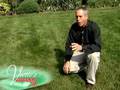 Sample Lawn And Garden
