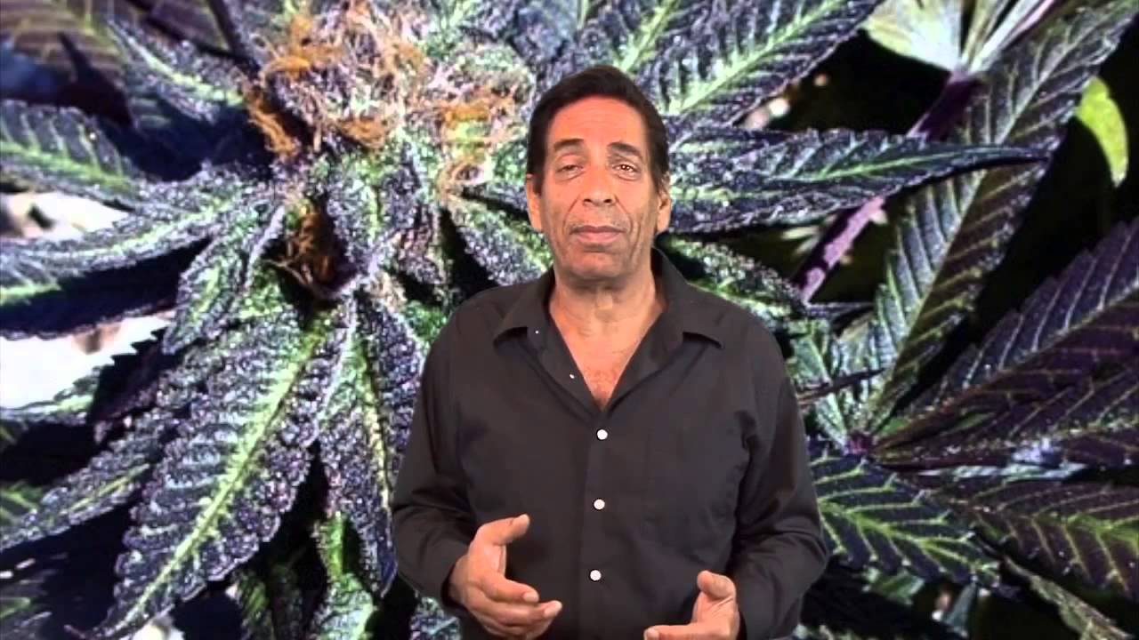 partynextdoor Kubby TV #24: WA vs. CO Pot Laws - Featuring NSA Analyst Jeff Wright - Part 2