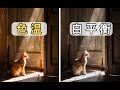 【摄影教学】终于有人把色温和白平衡说清楚了,学会这招轻松拍出冷暖对比高级感!