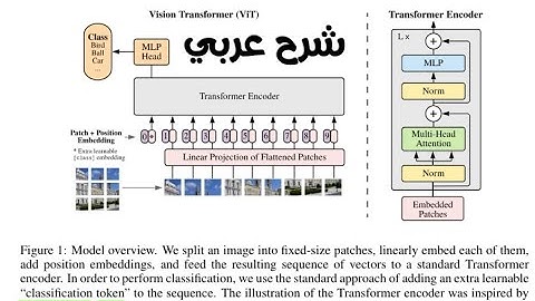 Vision transformer | computer vision شرح عربي