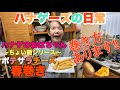 【ハナゲーズ】ハナゲのおばちゃんドヤ飯シリーズ~ポテサラチーズ春巻き~
