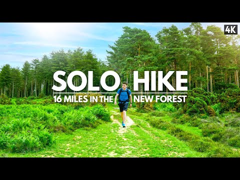 Solo Hiking 16 Miles through The New Forest, Hampshire - (4K)