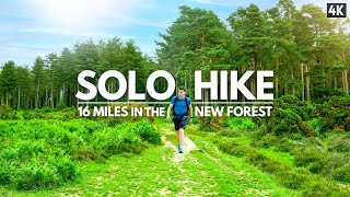 Solo Hiking 16 Miles through The New Forest, Hampshire - (4K)