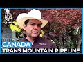 Indigenous peoples in Canada challenge Trans Mountain pipeline | NewsFeed
