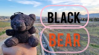 What color will the black bear be after washing?asmr.asmr