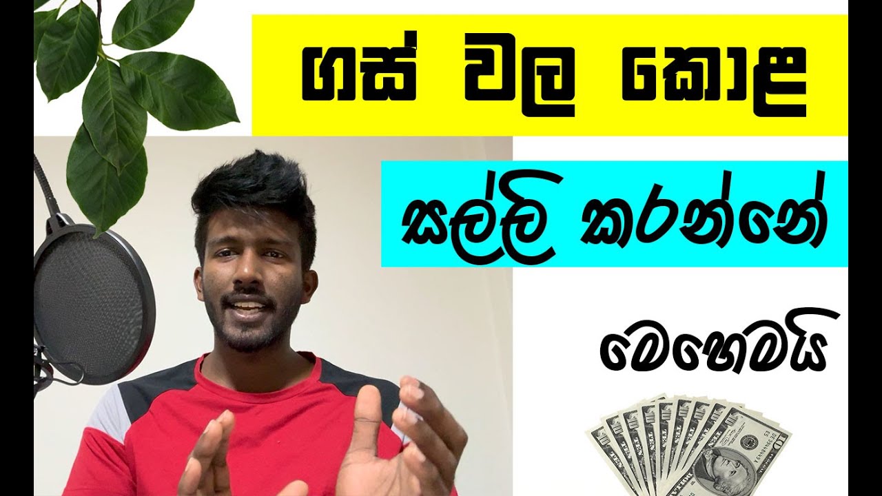 How to Start Disposable Plates Making business ස්වභාවික අමුද්‍රව්‍ය