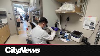 New study finds Ontario hospitals spent billions over 10 years on for-profit staffing agencies