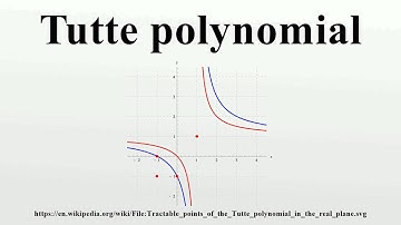 Tutte polynomial