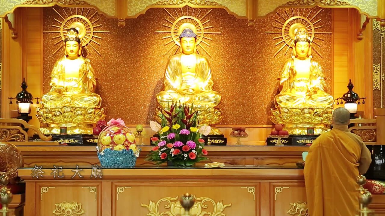 關渡龍園-簡介短片
