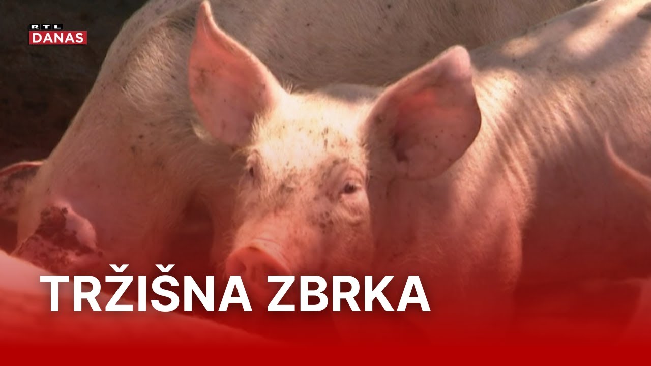 Svinjogojci upozoravaju na katastrofalnu situaciju na tržištu | RTL Danas