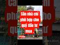Nhà 3 tầng THANH AM, THƯỢNG THANH, Hà NỘI #batdongsanhanoi