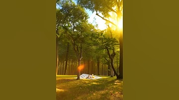 Make something to do for ducks and hamsters in the comments!