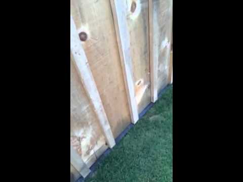 Grass prevention under fences