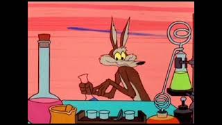 1960S Wile E. Coyote And Roadrunner Theme