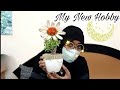 Indoor plants for home /Jade plant | Hobby for now | Tamil Vlog | Amazon product / Reeza Vlog & sale