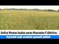 Godina Shawaa Kaabaa Aanaa Waacaalee Fi Abbichuu Nya Aatti Hojii Oomisha Qamadii Jalliisii Godina Shawaa Kaabaa Aanaa Waacaalee Fi Abbichuu Nya Aatti Hojii Oomisha Qamadii Jalliisii