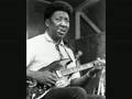 Muddy Waters - Mustang Sally