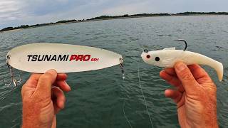 Big Spoon vs Shad - Which Fishing Lure Caught Best?