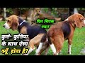 Know the real truth about why dogs and bitches hide while having sex! Filmi_Safar