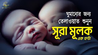 Surah Al-Mulk for 1 hour | ঘুমানোর জন্য | এক ঘণ্টা সূরা মূলক | Recited by Alaa Aqel