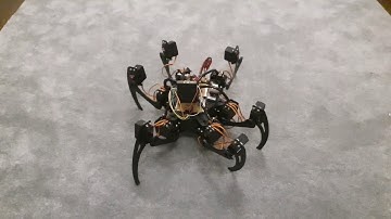 Hexapod translate, rotate and Tripod Gait
