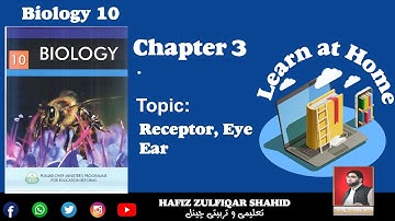 Grade 10 | Biology  | Unit 03{Lecture No 2} Coordination And Control/Receptors #hafizzulfiqarshahid