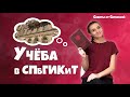 Как поступить в СПбГИКиТ с низкими баллами на Режиссёра?