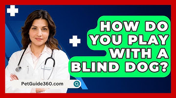 How Do You Play With A Blind Dog? - PetGuide360.com