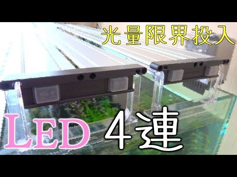 コトブキ900ツインライト二つ並べて点灯したらめっちゃ綺麗だった