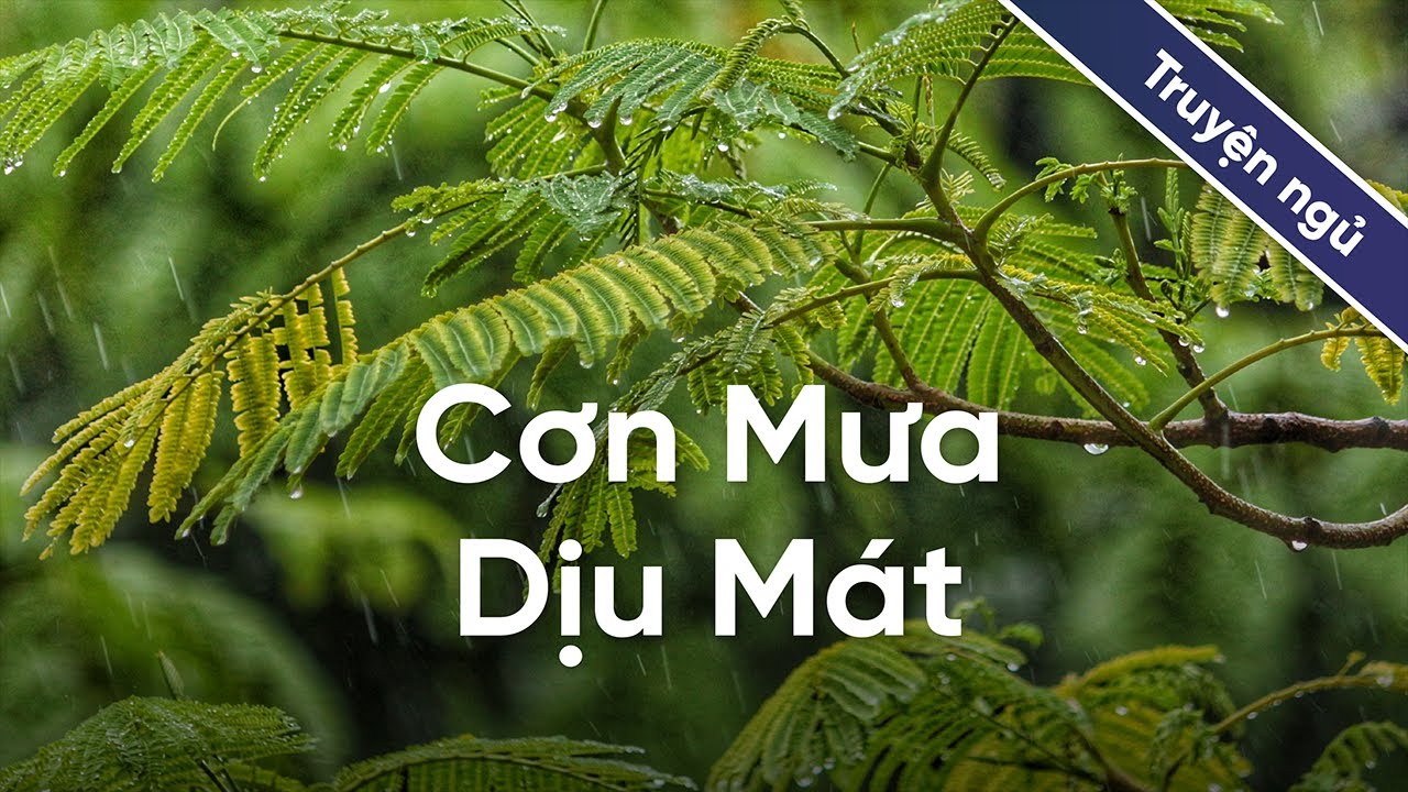 40 phút nghe truyện cho giấc ngủ ngon | Truyện ngủ: Cơn Mưa Dịu Mát - youtube