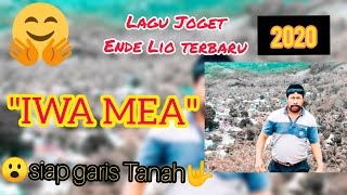 LAGU Joget  Ende Lio Terbaru 2020😮. IWA MEA